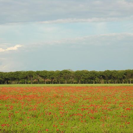 Appartamenti Mirella Bibione Exteriér fotografie